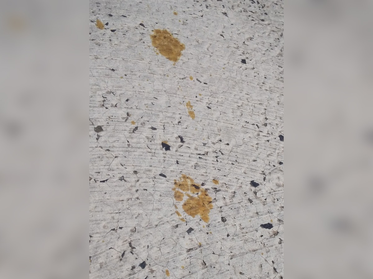 This handout picture taken and released by Nomura Plating on March 12, 2024 shows footprints believed to be from the cat in Fukuyama, Hiroshima Prefecture. (Photo by Handout / Nomura Plating / AFP)