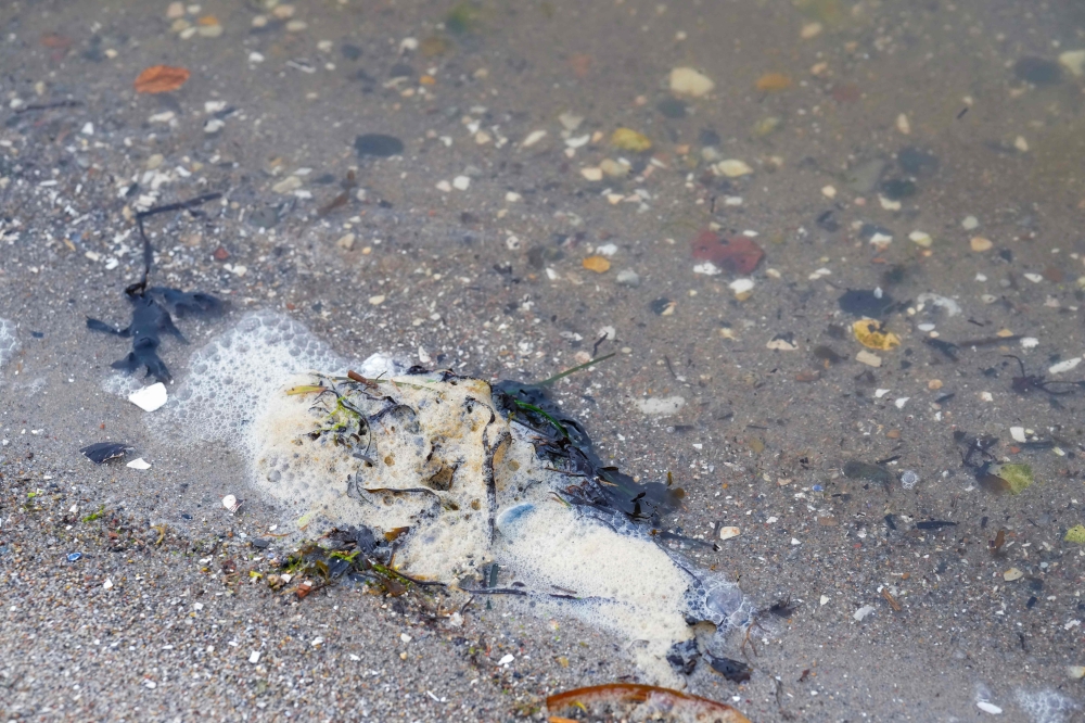 A detail of the shore is seen during the happening 'Funeral for Vejle Fjord' in Vejle, Denmark, on April 6, 2024. (Photo by Claus Fisker / Ritzau Scanpix / AFP)