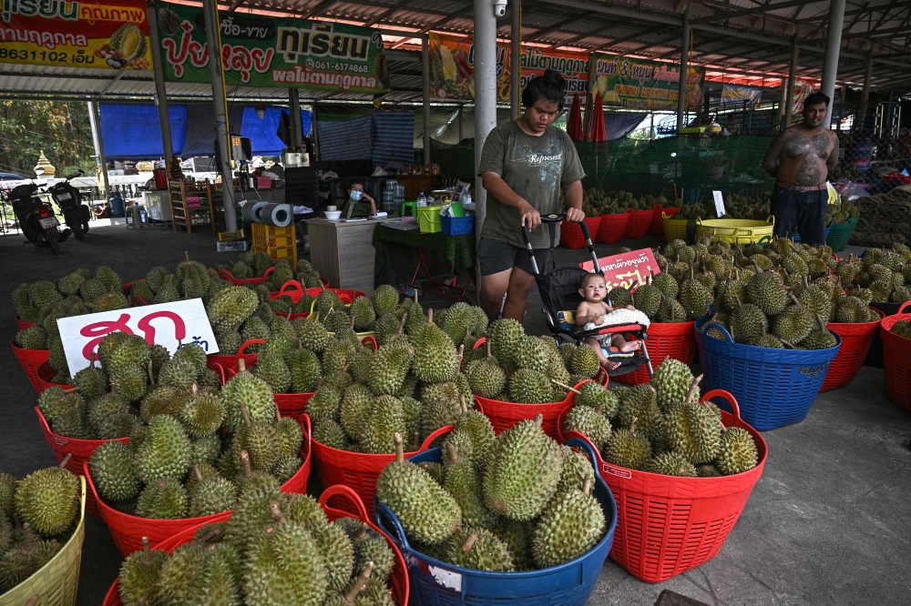 This photo taken on May 1, 2024 shows baskets of durians for sale at Wat Si Muang temple in Thailand's eastern Chanthaburi province. (Photo by Lillian Suwanrumpha / AFP) 