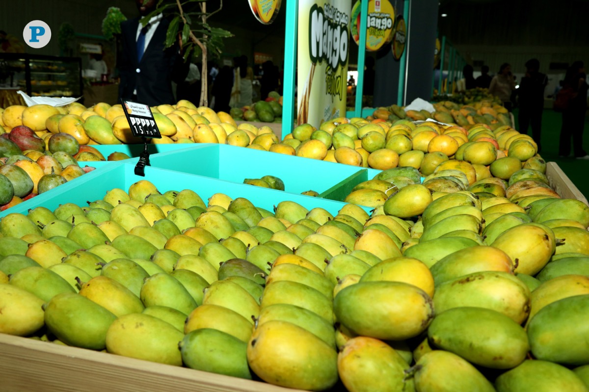 File photo of mangoes from the previous edition at Souq Waqif 
