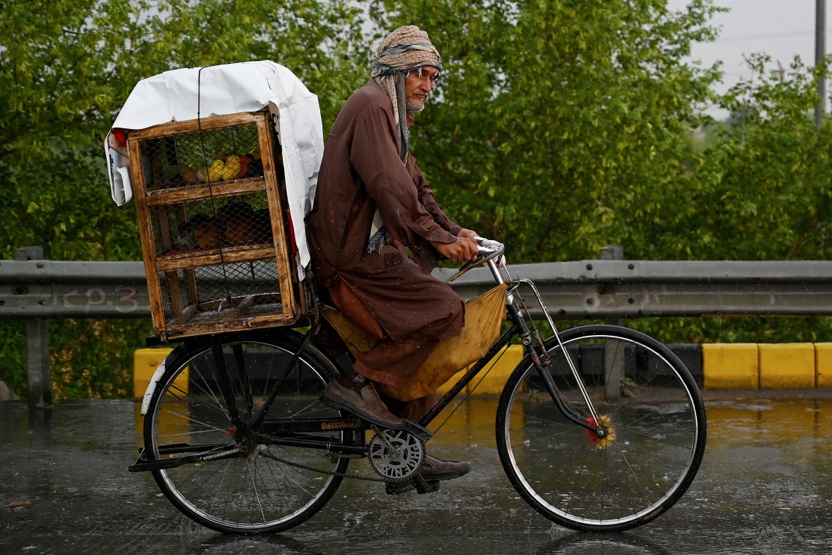A vendor carries chicks in a cage as he rides a bicycle along a street amid rainfall in Islamabad on June 5, 2024. Photo by Aamir QURESHI / AFP.