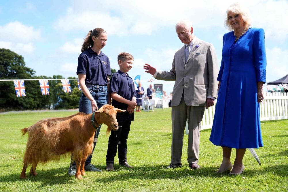 Britain's King Charles III (2nd R) and Britain's Queen Camilla (R) meet a Golden Guernsey goat during a tour of Les Cotils at L'Hyvreuse, in St Peter Port, Guernsey on July 16, 2024 as part of their two day official visit to the Channel Islands. (Photo by Andrew Matthews / POOL / AFP)
