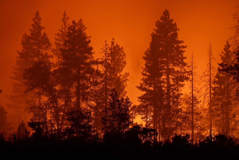 Trees burn through the night east of the small community of Payne Creek as the Park Fire, which has grown to 353,194 acres and is 10 percent contained, continues its spread on July 27, 2024 near Chico, California. Photo by DAVID MCNEW / GETTY IMAGES NORTH AMERICA / Getty Images via AFP