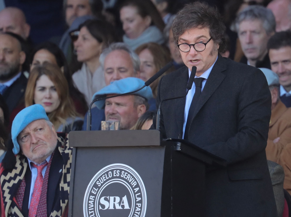 Argentinian President Javier Milei gives a speech during the Argentine Rural Society's expo in Buenos Aires on July 28, 2024. (Photo by MARCOS BRINDICCI / AFP)
