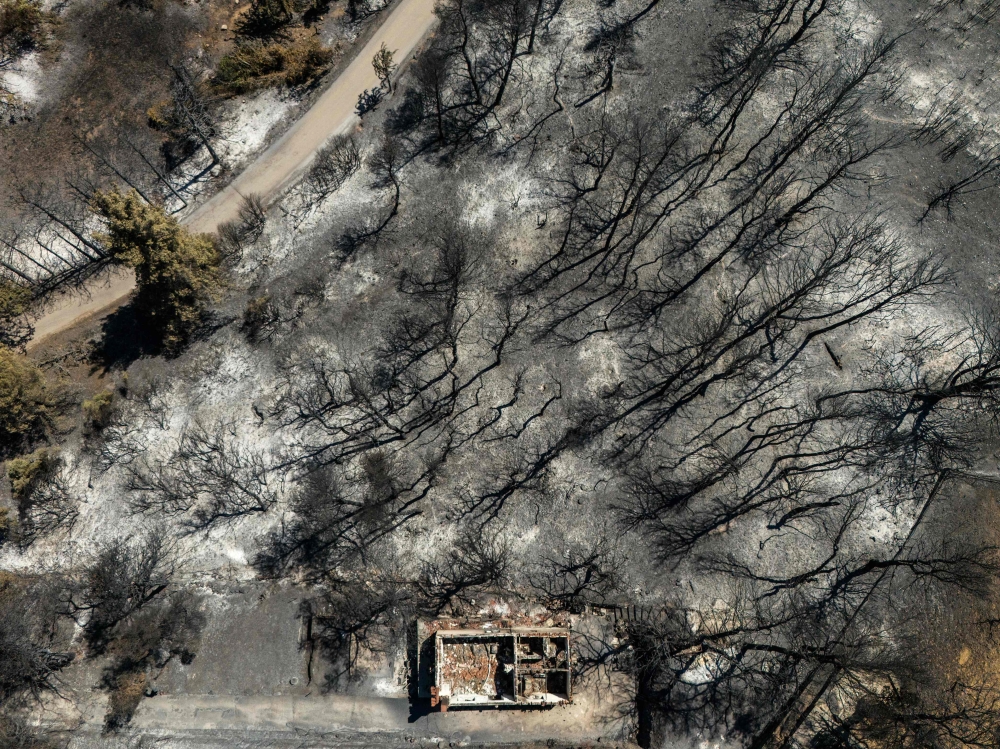 An aerial view shows a burned house following a wildfire in the village of Varnavas on August 14, 2024. (Photo by Angelos TZORTZINIS / AFP)
