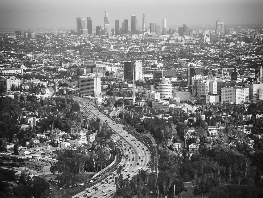 Picture used for representation 