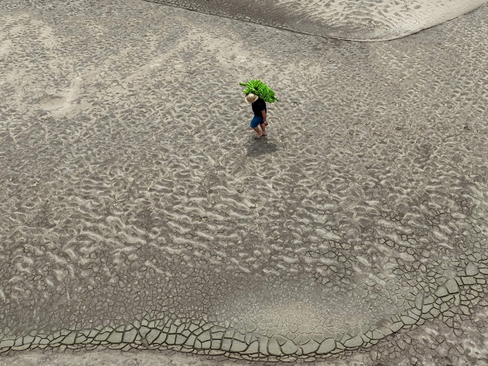 Aerial view of a riverbank dweller carrying banana produce over the dry Solimoes riverbed in the Pesqueiro community in Manacapuru, Amazonas state, northern Brazil, on September 30, 2024. (Photo by Michael Dantas / AFP)