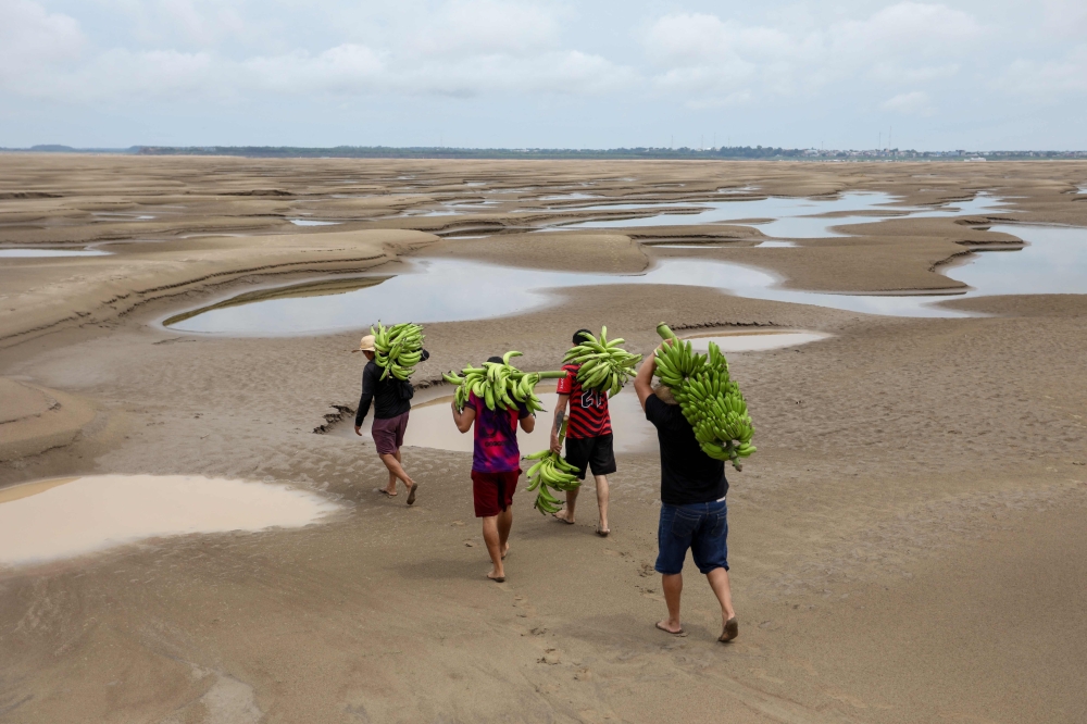 Aerial view of riverbank dwellers carrying banana produce over the dry Solimoes riverbed in the Pesqueiro community in Manacapuru, Amazonas state, northern Brazil, on September 30, 2024. (Photo by Michael Dantas / AFP)