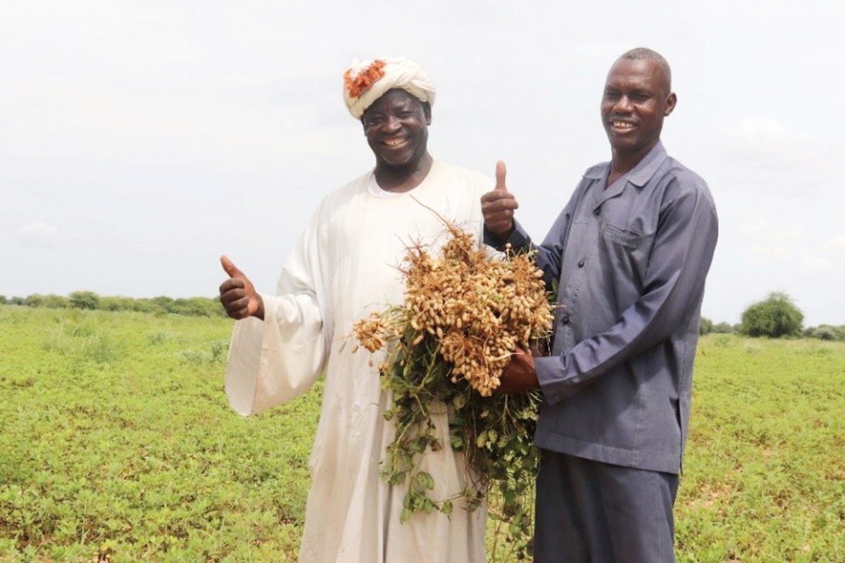 The project will support 17,700 marginalised youth who will gain employment in the agricultural and livestock sectors through access to micro-grants, land, tools and machinery.
