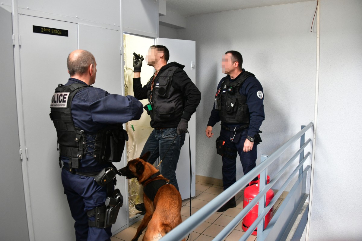 Photo used only for demonstration purposes. French police officers, helped by a dog, check a potential drug stash, during a 