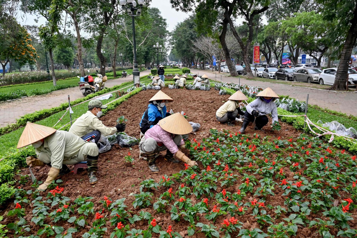 Workers plant flowers along a street in Hanoi on March 18, 2025. (Photo by Nhac NGUYEN / AFP)
