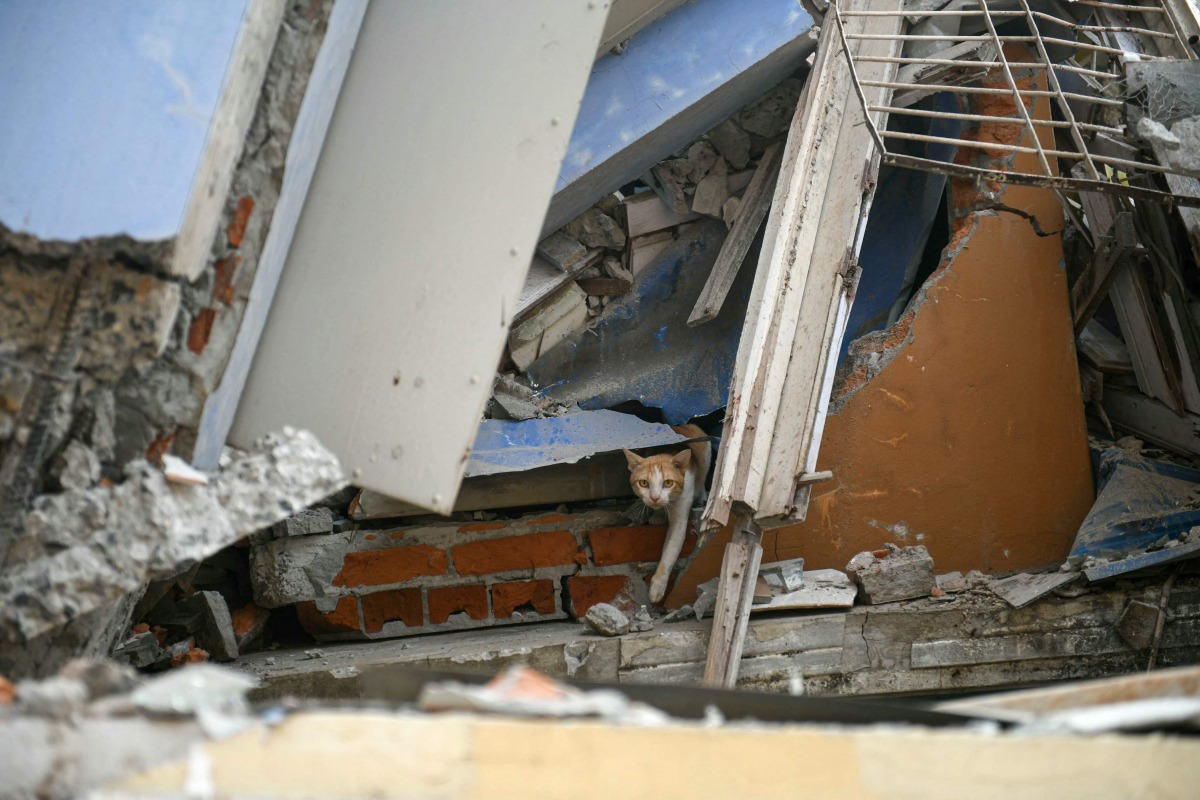 A cat walks through the rubble of a damaged building in Mandalay on March 30, 2025, two days after an earthquake struck central Myanmar. (Photo by Sai Aung MAIN / AFP)
