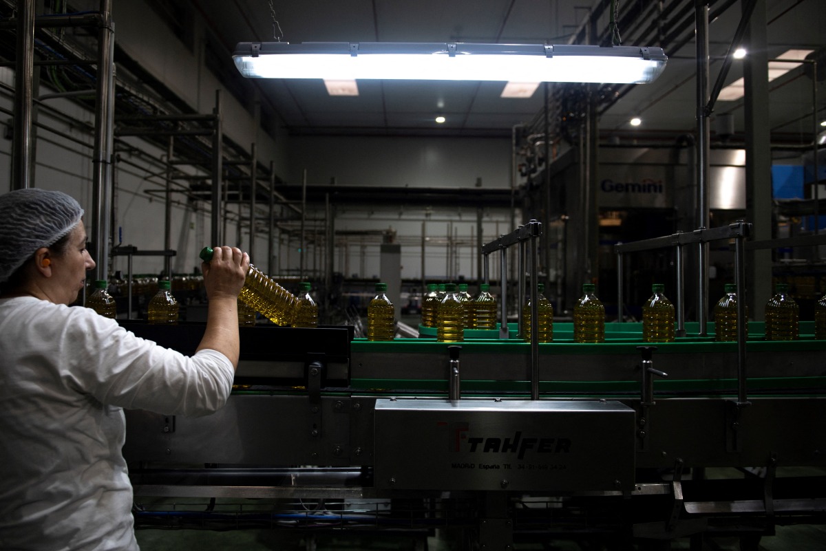 An employee works at DCOOP olive oil factory, which exports around 60,000 tonnes a year in Antequera, in southern Spain's Andalusia region, on April 8, 2025. (Photo by JORGE GUERRERO / AFP)
