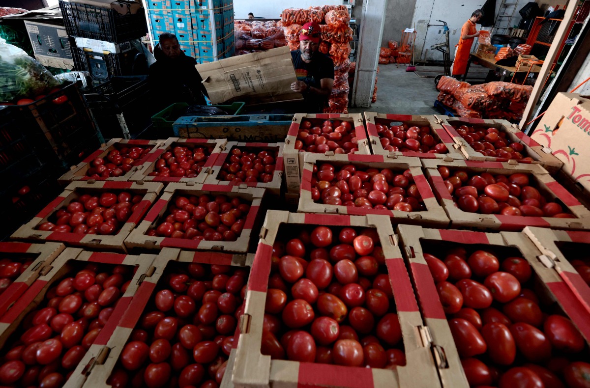 (FILES) Boxes of tomatoes are seen at the Central de Abastos market in Guadalajara, Jalisco state, Mexico on January 31, 2025. (Photo by ULISES RUIZ / AFP)
