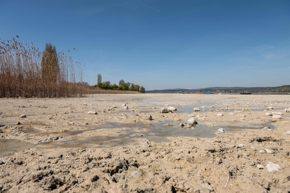 The lakeshore is seen on Reichenau Island in Lake Constance (Bodensee), southern Germany, where the water level of the lake is at its lowest level in spring for decades, on April 12, 2025. (Photo by Silas Stein / AFP)