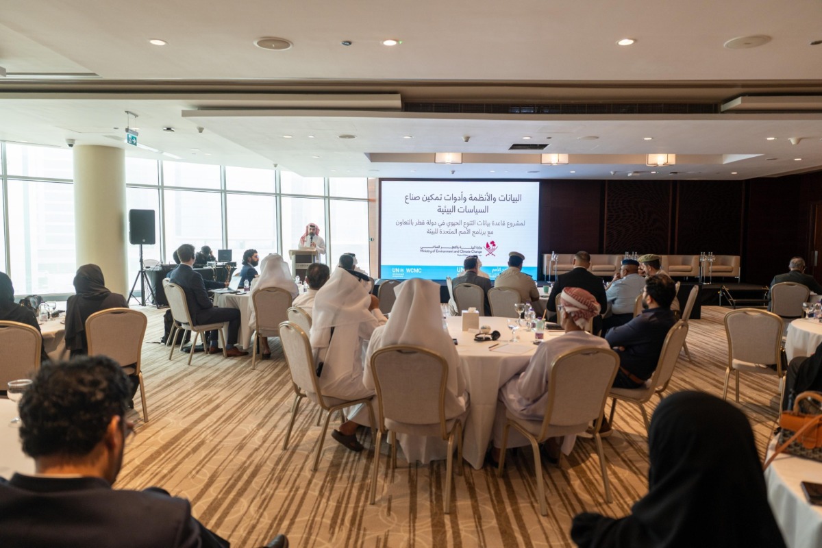 A view from one of the MECC workshops.