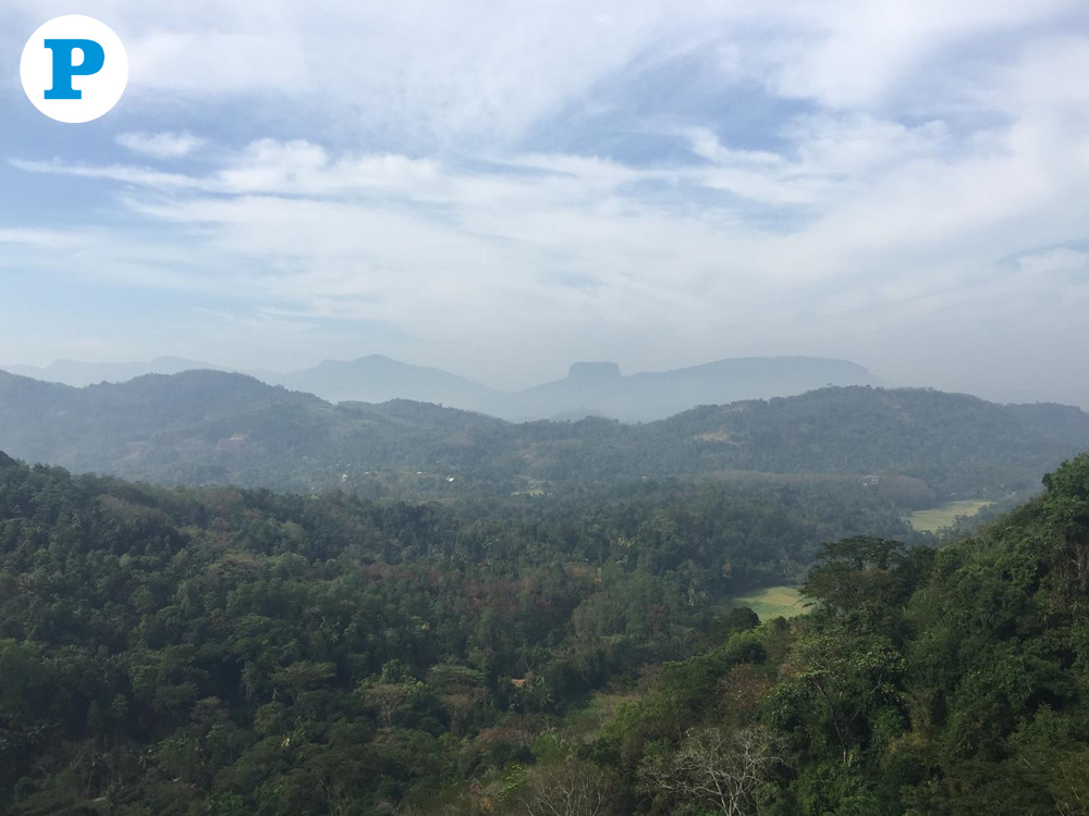 Photo by (Fazeena Saleem/The Peninsula.)