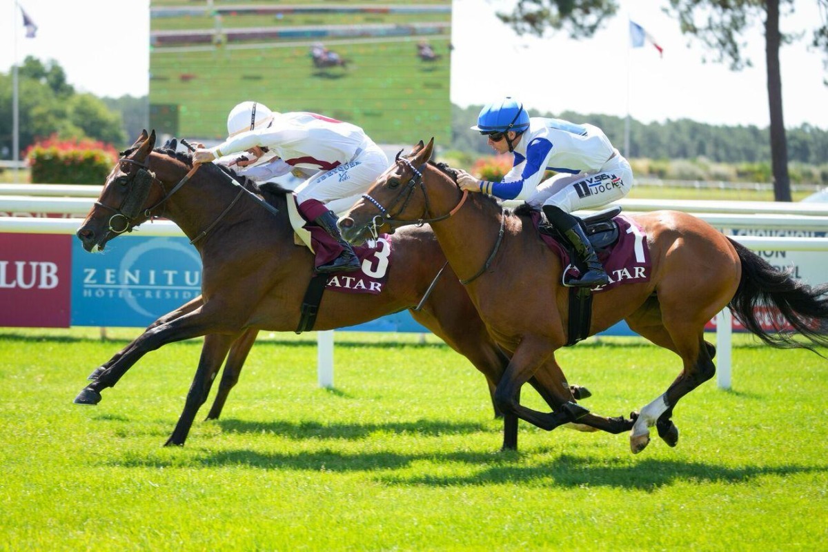 Jockey Jean-Bernard Eyquem and Laffan lead the race.