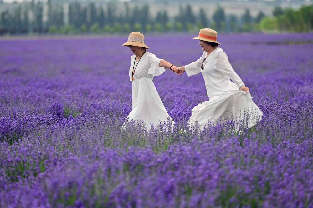 A lavender field in Huocheng County, northwest China's Xinjiang Uygur Autonomous Region. (Photo by Xinhua/Ding Lei)
