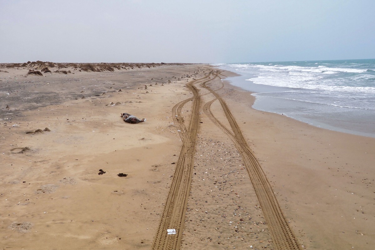 Body lies on the beach in Yemen's Abyan province. AFP file photo.
