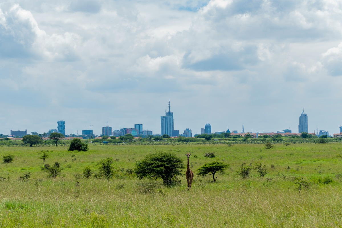  Nairobi National Park 