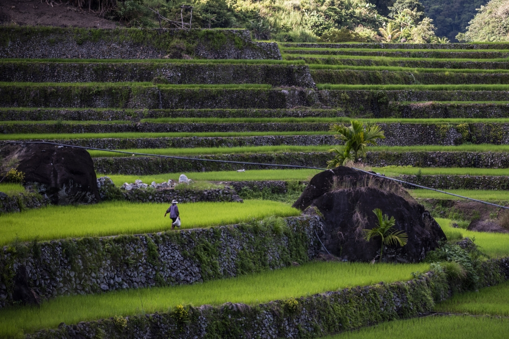 Rice terraces in Banaue, Ifugao province, the Philippines. (Photo by Lisa Marie David/Bloomberg)