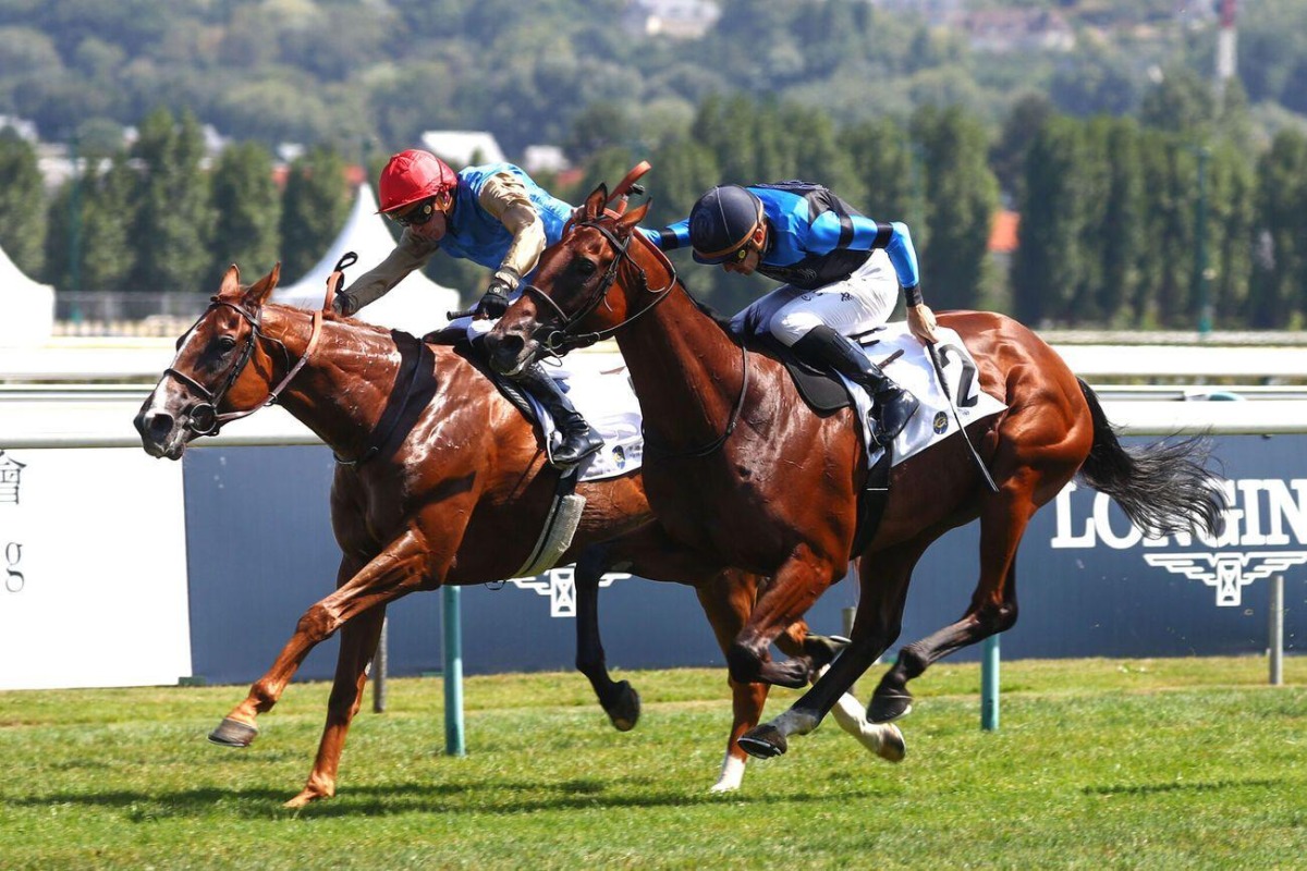 First Look, ridden by James Doyle (front), in action during the race. 