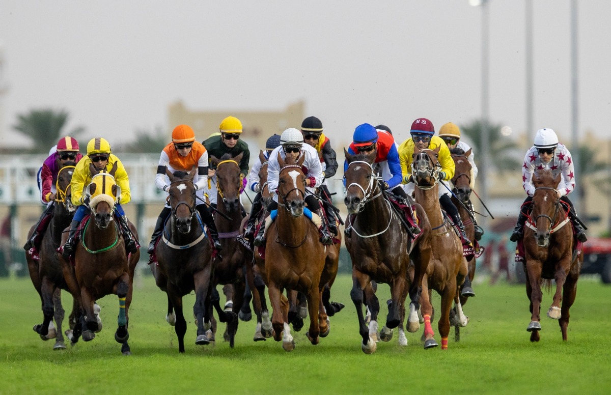 Al Rayyan and Al Uqda racecourses will host the races during the extensive calendar.