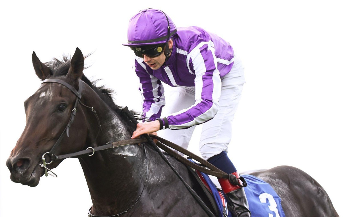 Ronan Whelan rides Hawk Mountain during the race. PIC: The Curragh / Inpho 