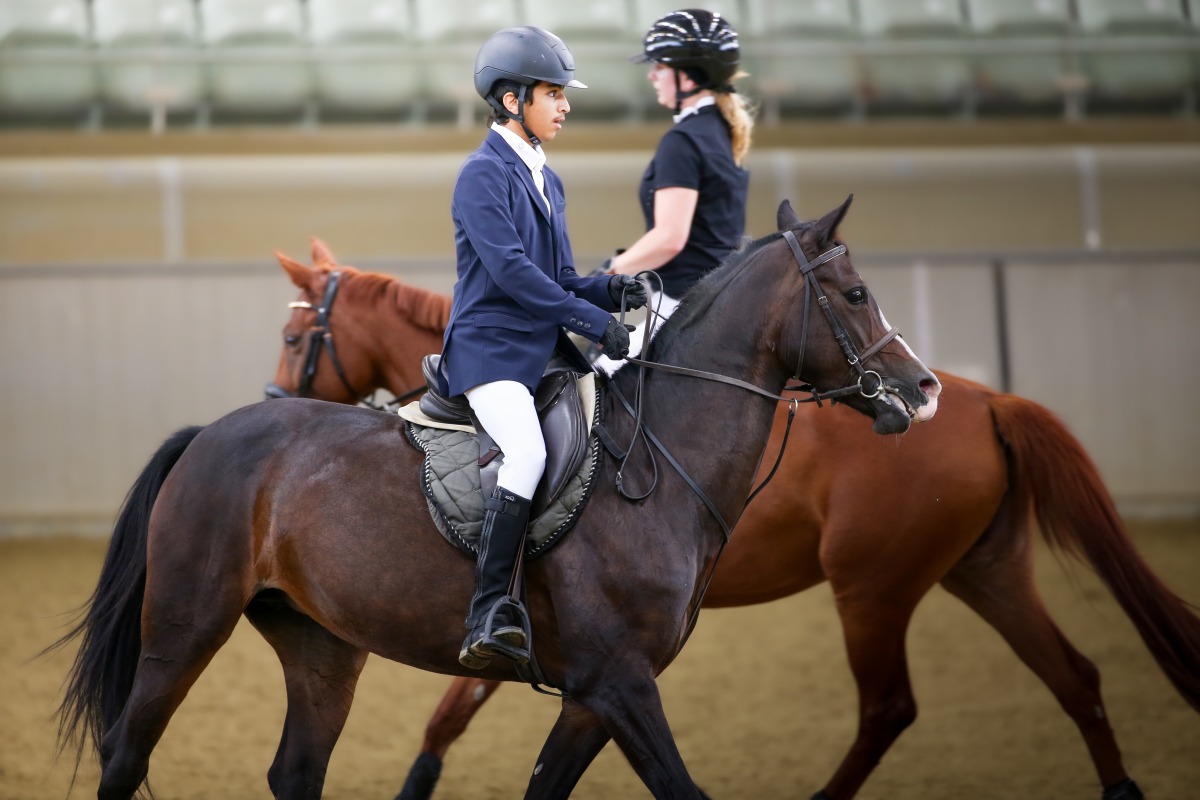 The Training Show is designed as a vital stage that empowers riders to gain practical experience in a safe and motivating competitive environment.