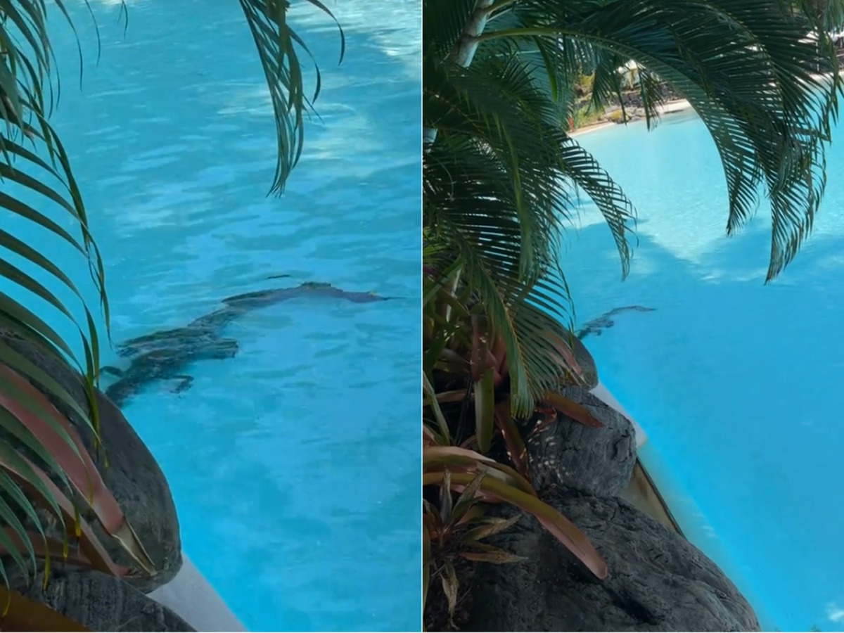 Screen grab of the video shared on Tiktok by Lisa Keller