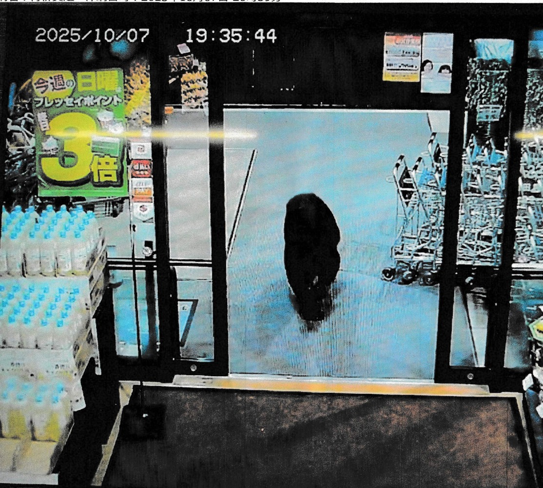 This handout photo taken on October 7, 2025 and released by Gunma Prefectural Police via Jiji Press shows CCTV camera footage of a bear walking inside a supermarket in Numata, Gunma prefecture. Photo by Handout / various sources / AFP