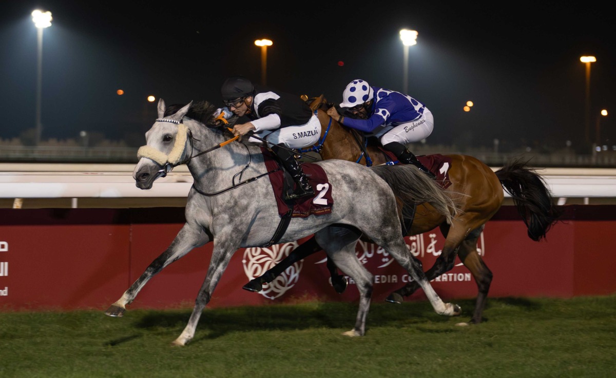 Szczepan Mazur guides Medan towards victory in the Lekhraib Cup. PIC: JUHAIM/QREC