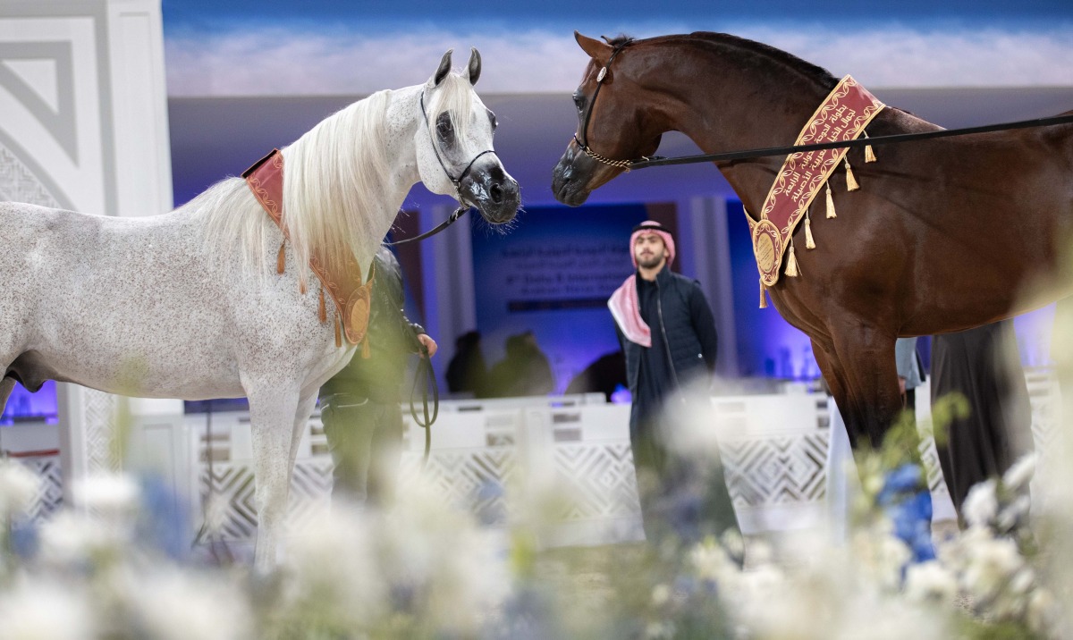 A file of competition during last year’s edition.  