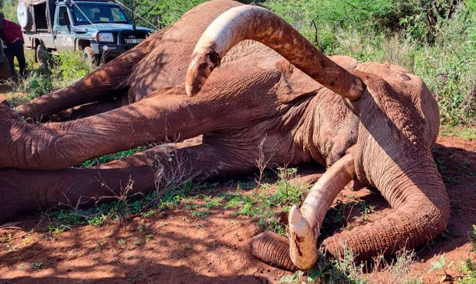 Picture from NTV Kenya official social media channels.