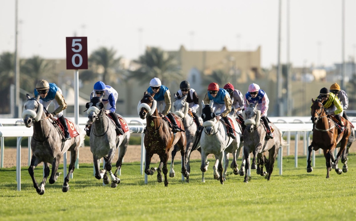 As many as 10 high-profile races will take place at Al Rayyan Racecourse on Saturday. 
