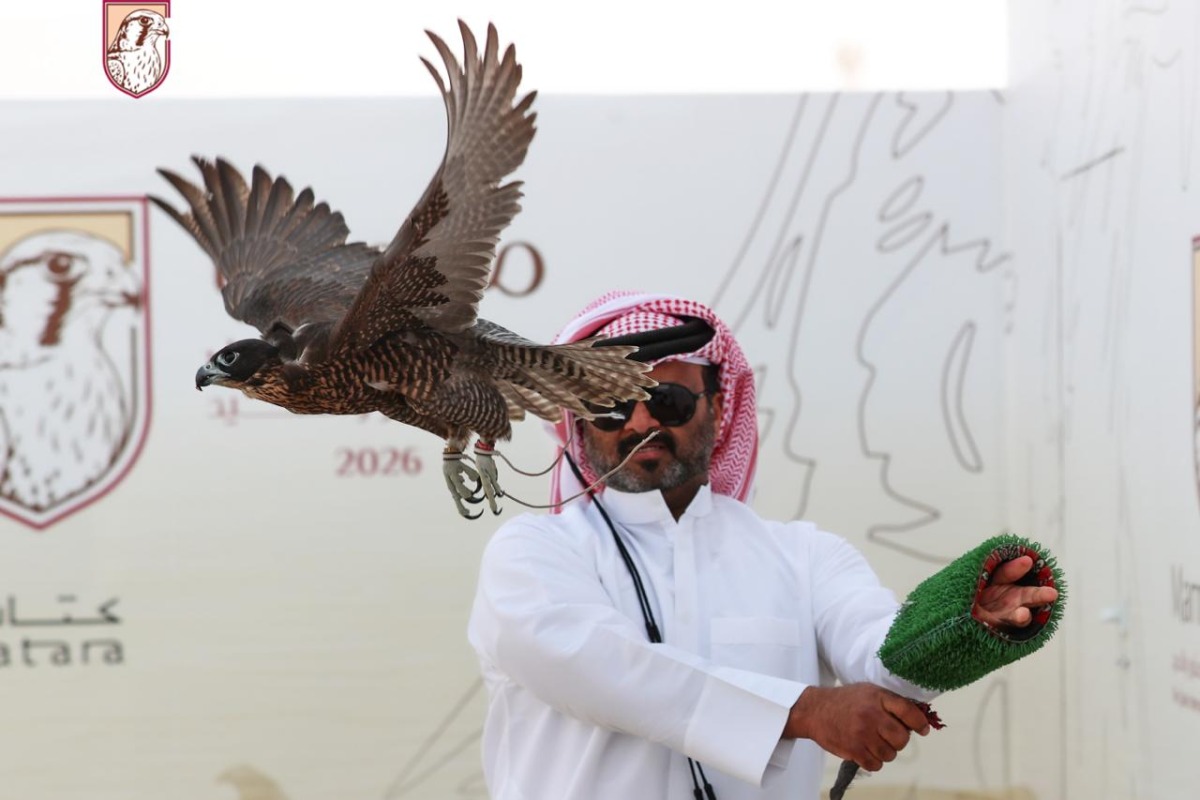 A falconer releasing his falcon during the qualification round.