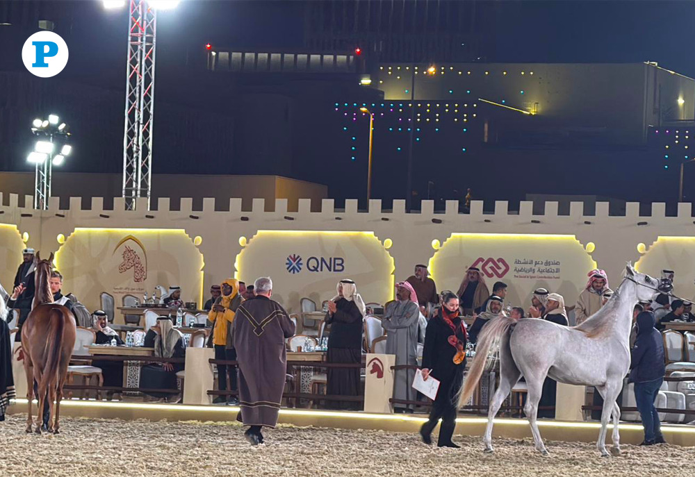The 7th Souq Waqif Equestrian Festival on January 22, 2026. (All images are taken by Mahmoud Elmazaty / The Peninsula)