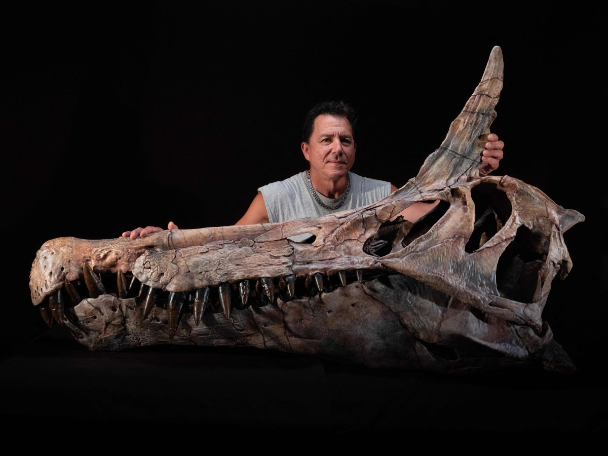 US Palaeontologist Paul Sereno poses at the Fossil Lab of the University of Chicago, Illinois, on September 19, 2025. (Photo by Keith Ladzinski / Fossil Lab, University of Chicago / AFP)