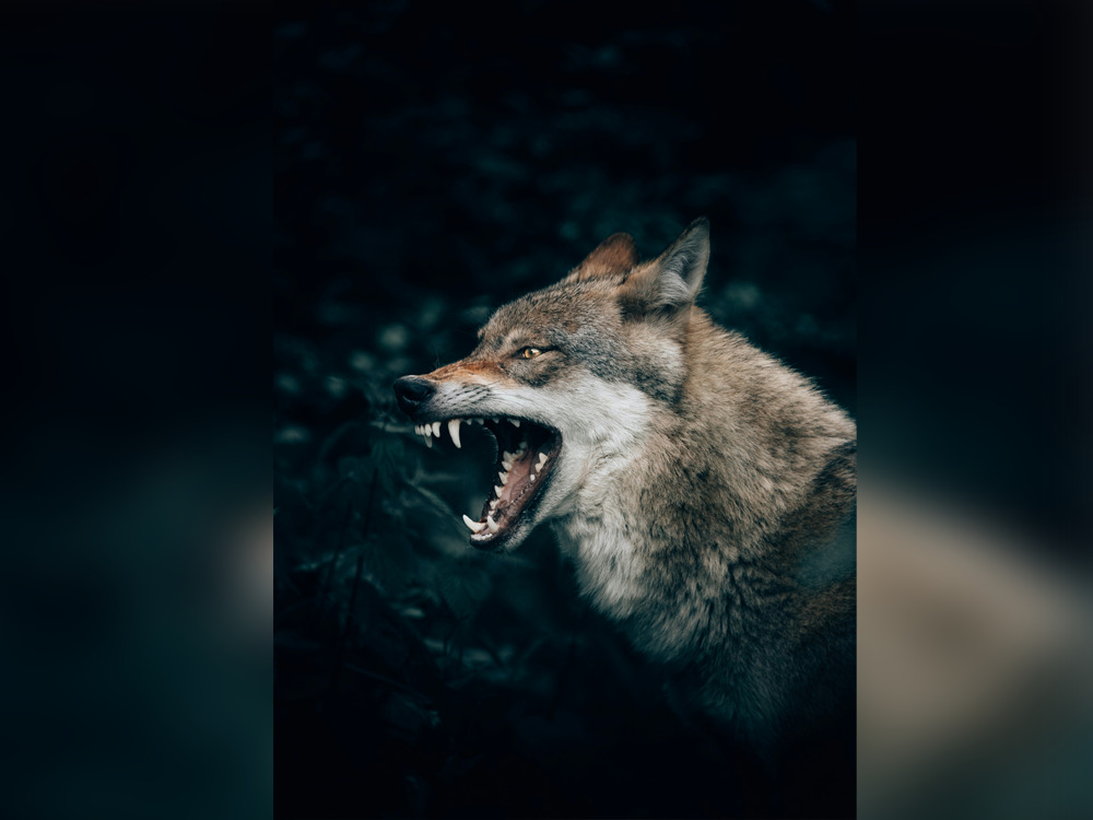 Representational photo