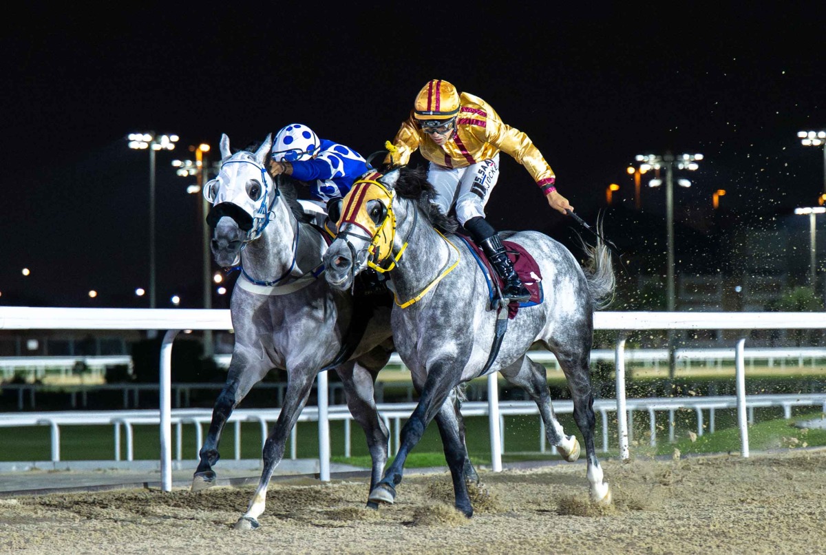 Naseeb Zakhir (left), ridden by Faleh Bughenaim, claimed a nose victory in the feature race yesterday. PIC: Juhaim/QREC