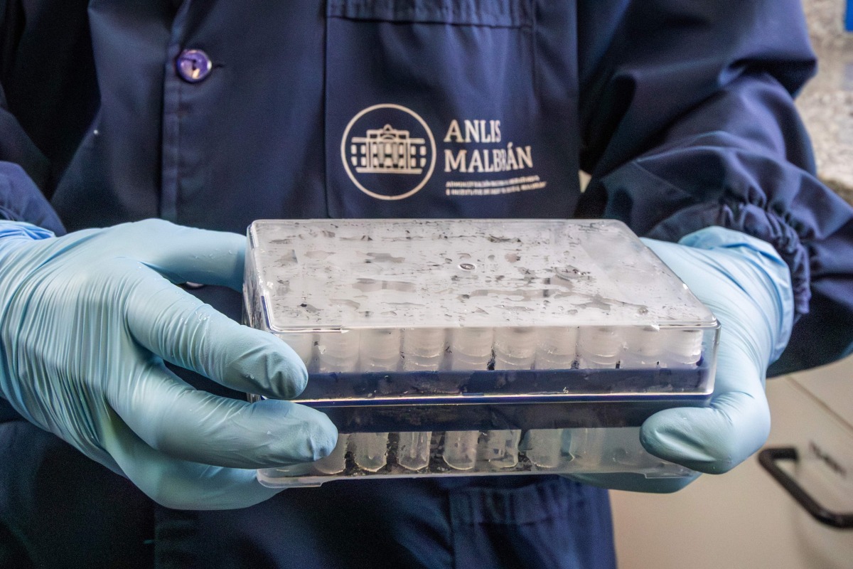 This handout picture released by Argentina's Health Ministry shows a scientist from the Malbran Institute handling containers used to diagnose the Andes hantavirus, which contain RNA from the Andes virus as part of the detection process, in Buenos Aires on May 6, 2026. (Photo by Handout / ARGENTINE HEALTH MINISTRY / AFP)