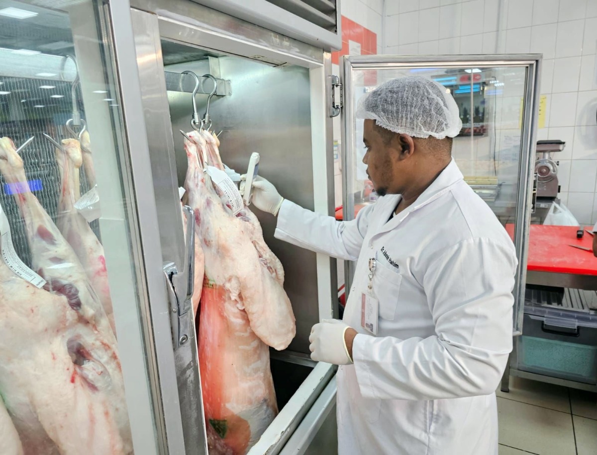 Municipality Ministry representative inspecting the sacrificial animal at slaughterhouse during Eid holiday