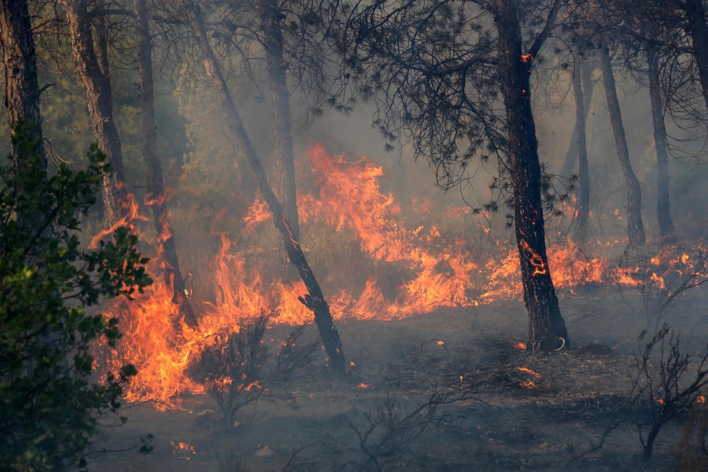 A wildfire rages in a mountainous area near the town of Al Hachimia, Bouira Province, on July 21, 2026. (Photo by AFP)