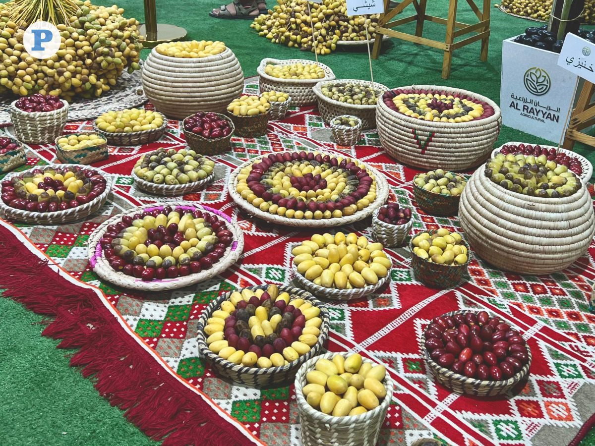 Photo by Hana Ramadan/ The Peninsula