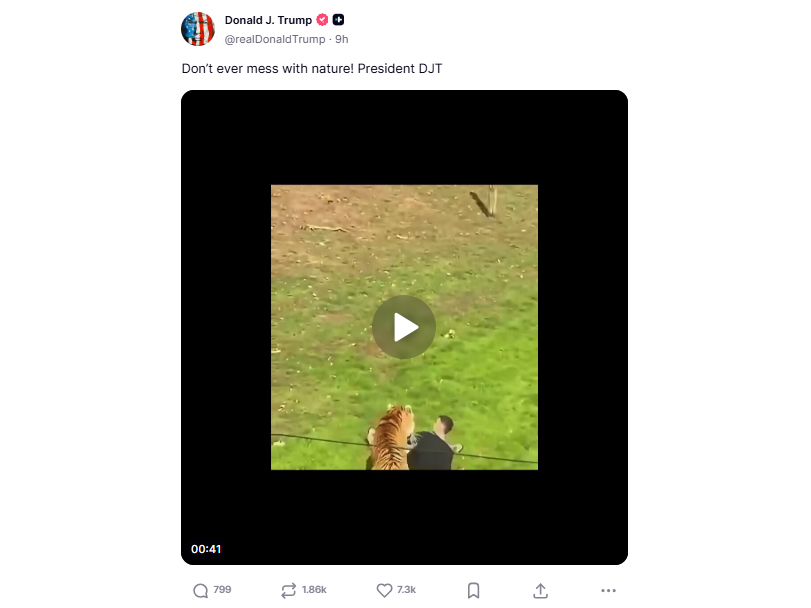 Screenshot of the post shared by US President Donald Trump on Truth Social 